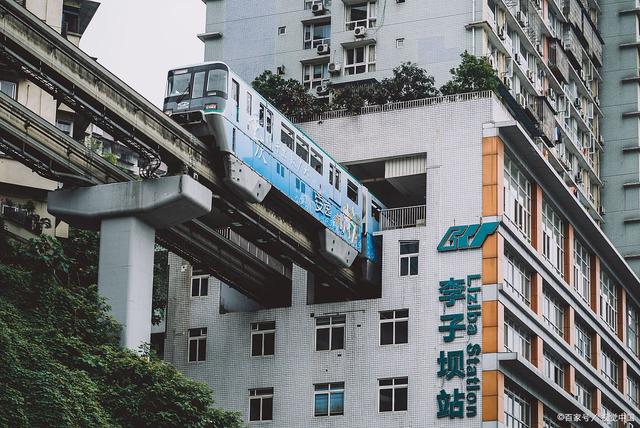 图片 100