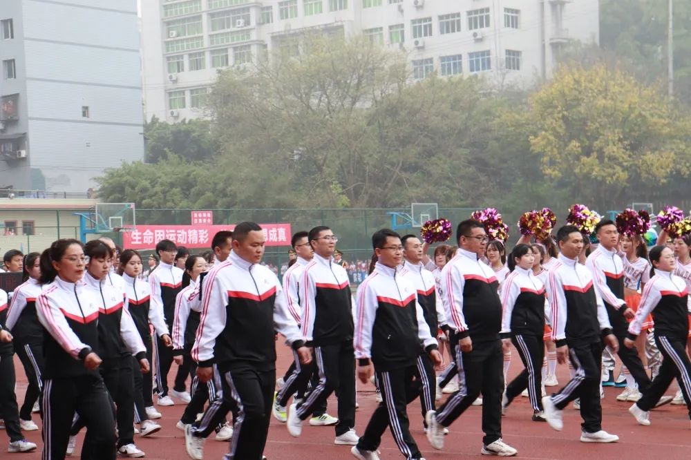 图片 5